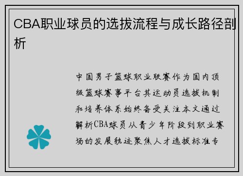 CBA职业球员的选拔流程与成长路径剖析