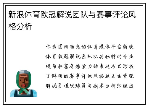 新浪体育欧冠解说团队与赛事评论风格分析