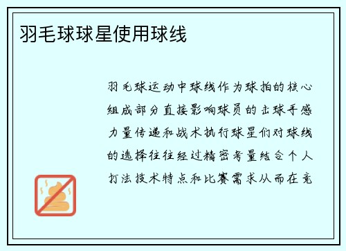 羽毛球球星使用球线